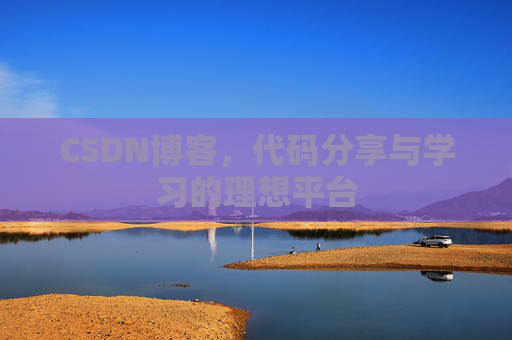 CSDN博客，代码分享与学习的理想平台